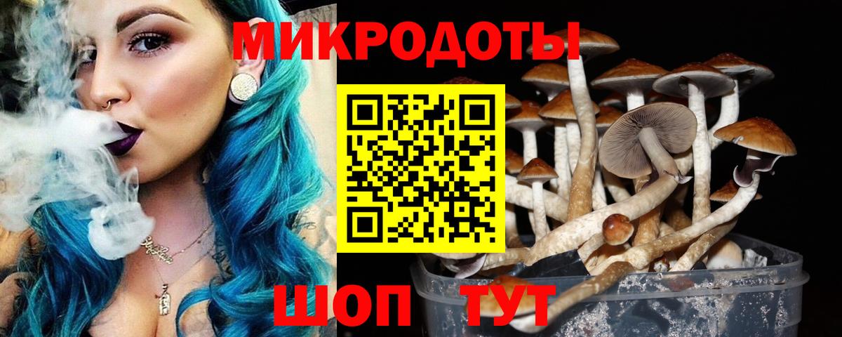 Галлюциногенные грибы мухоморы Гуково