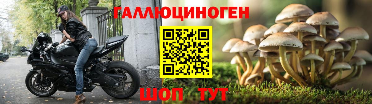 Галлюциногенные грибы мицелий  Вход с VPN  Гуково  Псилоцибиновые грибы прущие грибы 